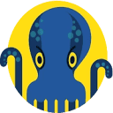 JetOctopus logo